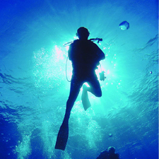 la plongée sous-marine